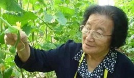 游戏发行人娱乐圈吃瓜,揭秘游戏发行人背后的神秘瓜界